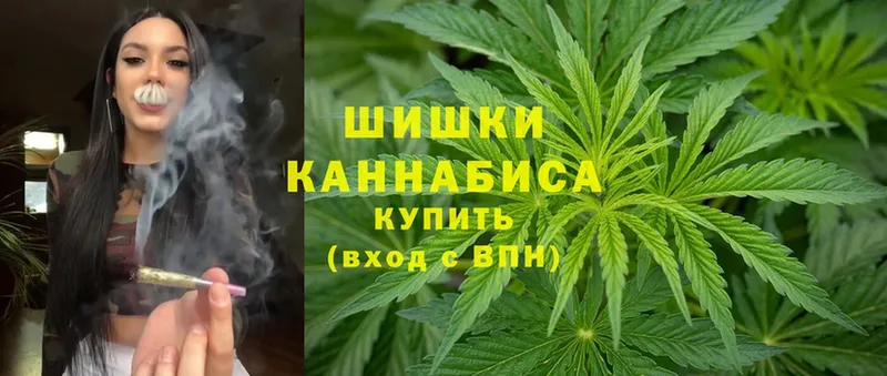 Конопля OG Kush  купить   Новосиль 